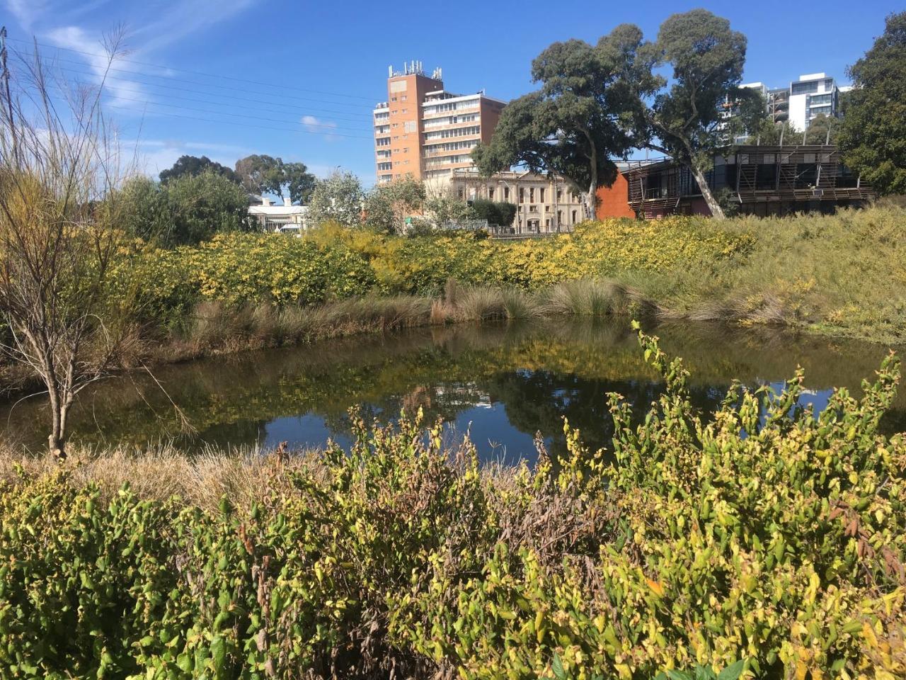 Adelaide Style Accommodation-Close To City-North Adelaide-3 Bdrm- Free Parking 外观 照片